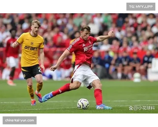 狼队不敌诺丁汉森林 垫底位置保级堪忧